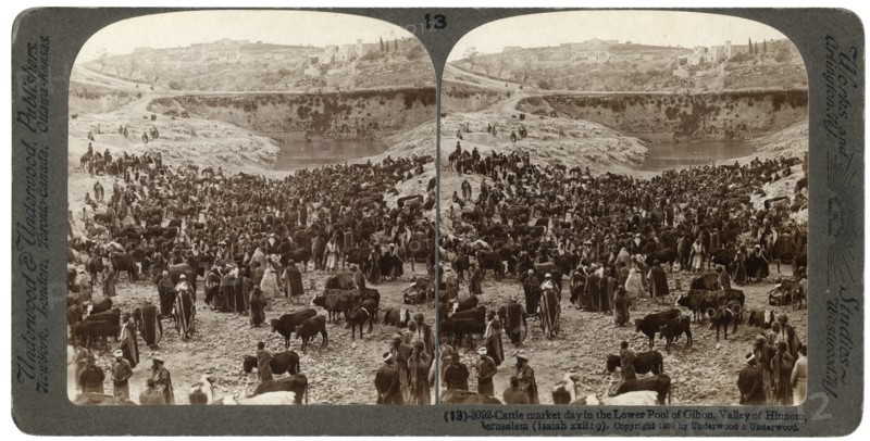 Cattle market day, in the lower pool of Gihon, Valley of Hinnom, Jerusalem, Palestine, 1900.Artist: Underwood & Underwood