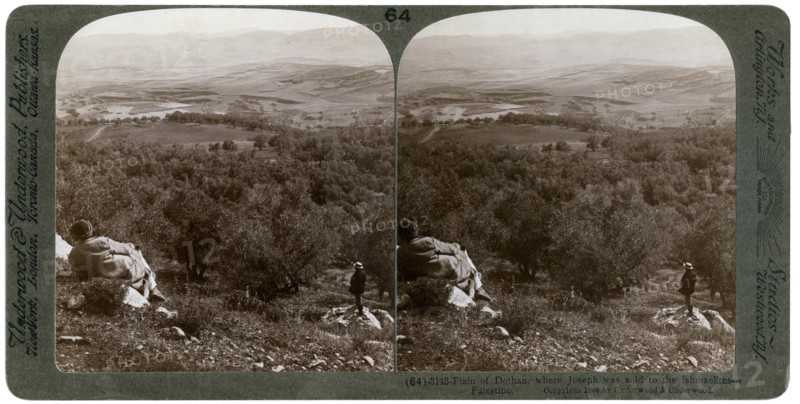 The plain of Dothan, Palestine, 1900.Artist: Underwood & Underwood