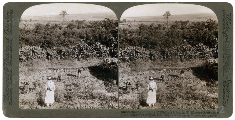 The north-west view from Shunem, across the Plain of Esdraelon, towards Carmel, 1900s.Artist: Underwood & Underwood