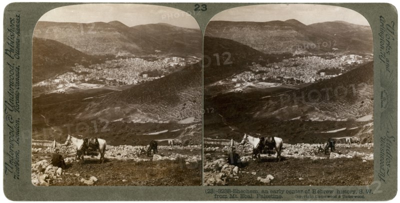 Shechem, south-west from Mount Ebal, Palestine, 1900s.Artist: Underwood & Underwood