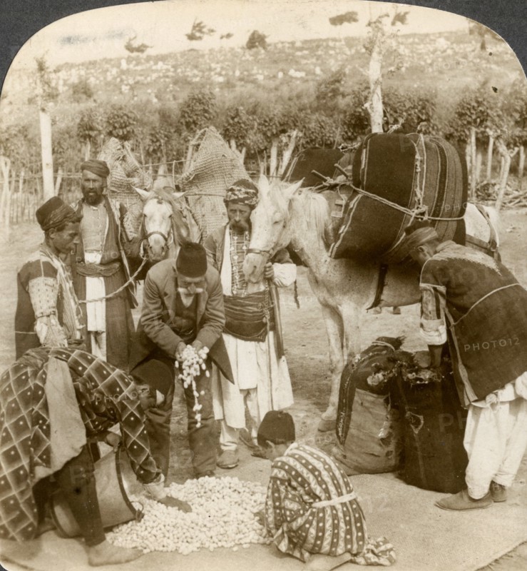 Experts purchasing silk cocoons, for export to France, Antioch, Syria, 1900s.Artist: Underwood & Underwood