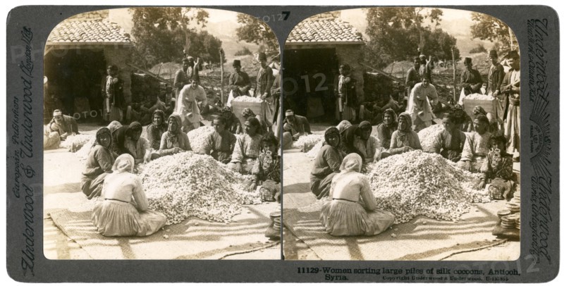 Women sorting large piles of silk cocoons, Antioch, Syria, 1900s.Artist: Underwood & Underwood