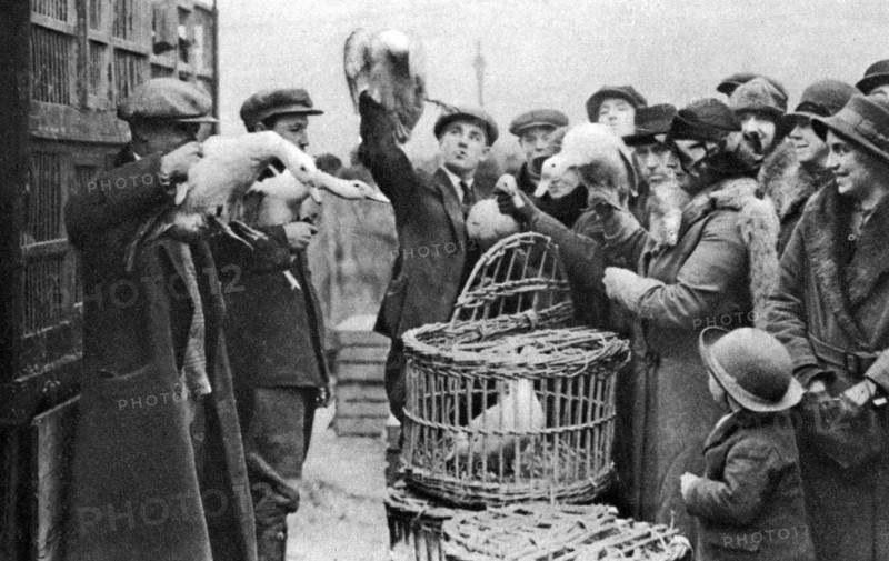 Poultry merchants, Caledonian Market, London, 1926-1927. Artist: Unknown