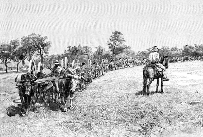 A convoy of wagons, South America, 1895. Artist: Unknown