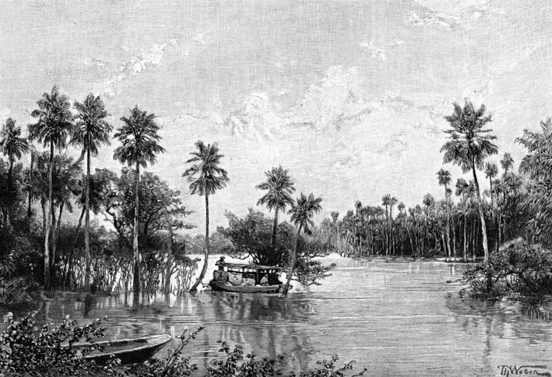 Las Palmes Lagunas, near the mouth of the Pilcomayo, 1895. Artist: Unknown