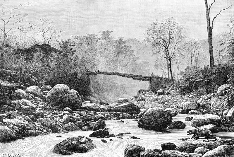 A bridge over the Rangit, a tributary of the river Teesta, India, 1895. Artist: Unknown