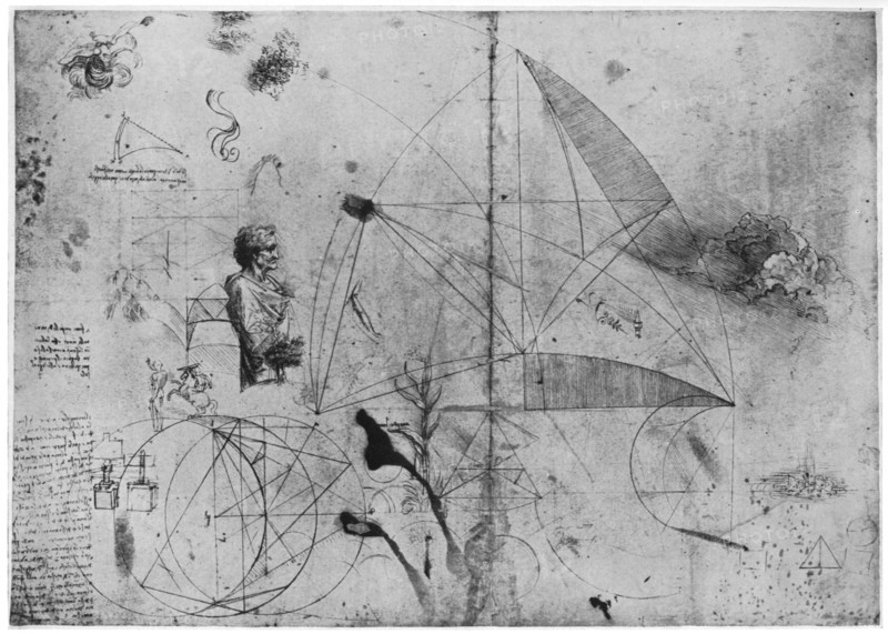 Sheet of studies, late 15th or early 16th century (1954).Artist: Leonardo da Vinci