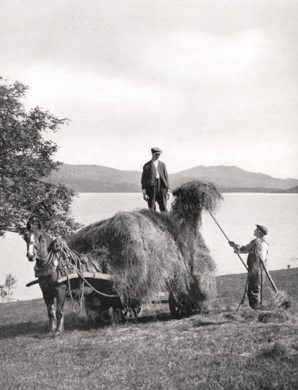 Loading hay onto a wagon on the shores of Loch Lomond, Scotland, 1924-1926.Artist: Donald McLeish