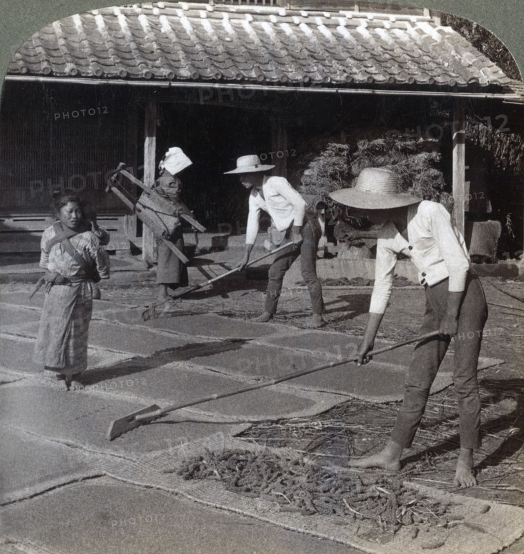 Farmers with bamboo rakes spreading millet on mats to dry for winter, near Yokohama, Japan, 1904. Artist: Underwood & Underwood