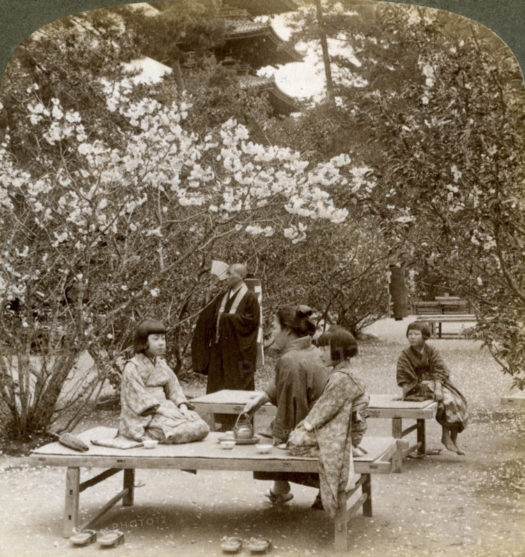 A family enjoying a picnic under the cherry blossoms, Omuro Gosho, Kyoto, Japan, 1904.Artist: Underwood & Underwood