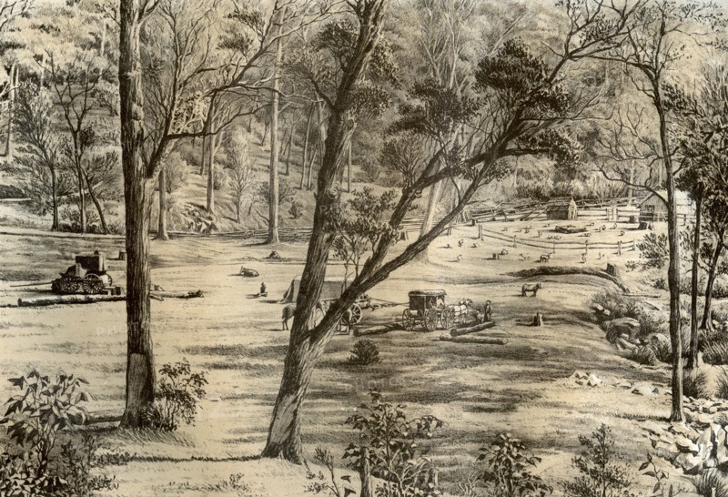 Free selector's hut, Australia, 1879. Artist: McFarlane and Erskine