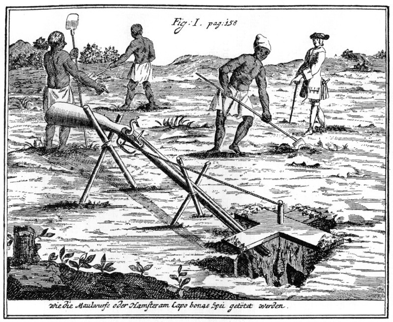 Khoikhois catching moles, South Africa, 18th century (1931). Artist: Unknown
