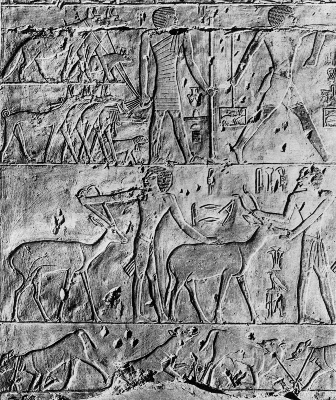 A hunting scene from the tomb of Ptahhotep, near Saqqara, Egypt, c2650 BC (1936). Artist: Unknown