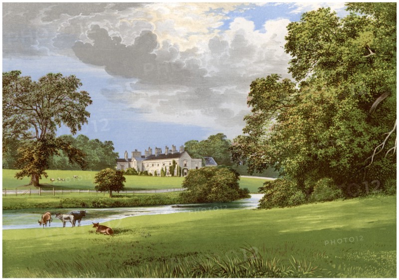 Castle MacGarrett, County Mayo, Ireland, home of Lord Oranmore, c1880. Artist: Unknown