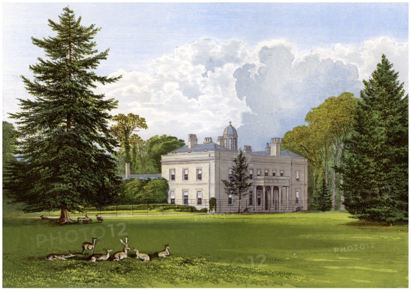 Brockley Hall, Somerset, home of the Smyth-Pigott family, c1880. Artist: Unknown