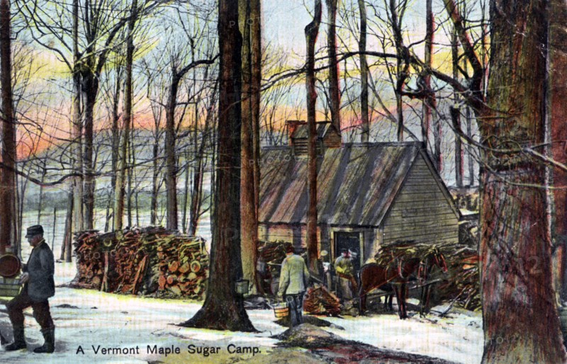 A Vermont maple sugar camp, USA, early 20th century. Artist: Unknown