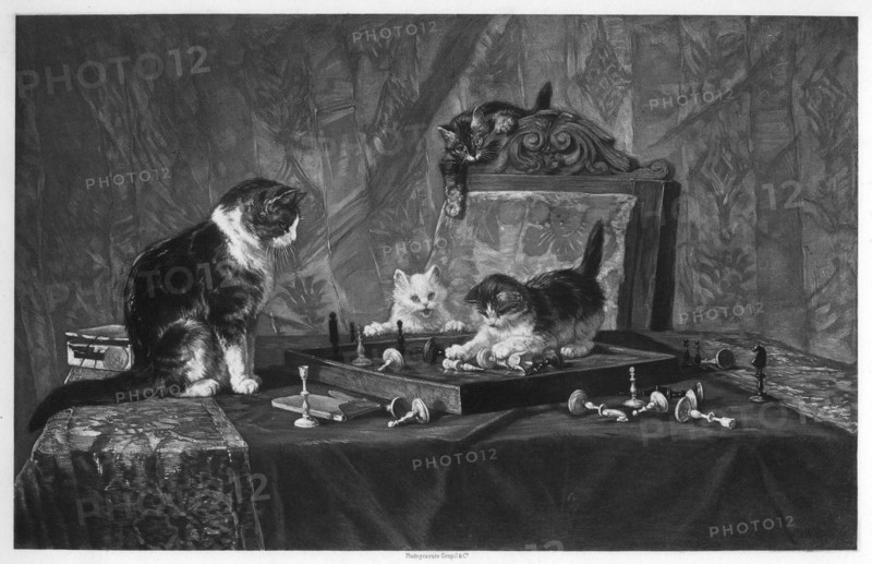 Cats playing with a chessboard.Artist: Goupil and Co