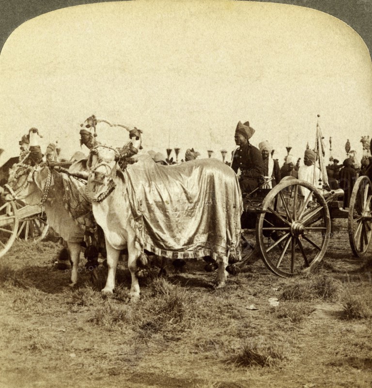 Silver cannon of the Maharaja of Baroda, Delhi, India.Artist: Underwood & Underwood