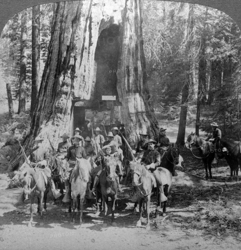 Cavalry passing through the great tree 'California', California, USA.Artist: Underwood & Underwood
