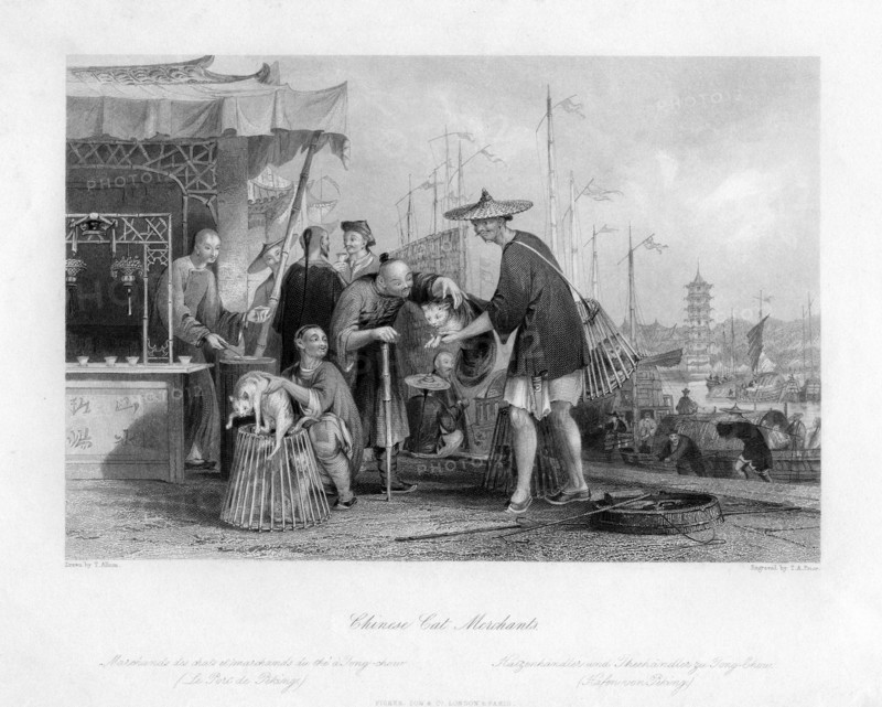 'Chinese Cat Merchants', 19th century.Artist: TA Prior