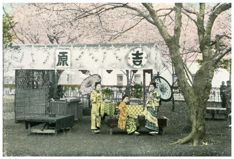 Lunch stand in a public park, Japan, 1904. Artist: Unknown