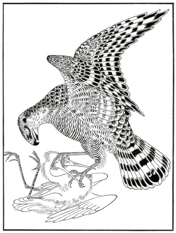 Falcon and egret, 16th century (1886). Artist: Unknown