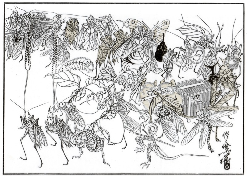 'The Insect Daimio Cortege', 1878 (1886). Artist: Unknown