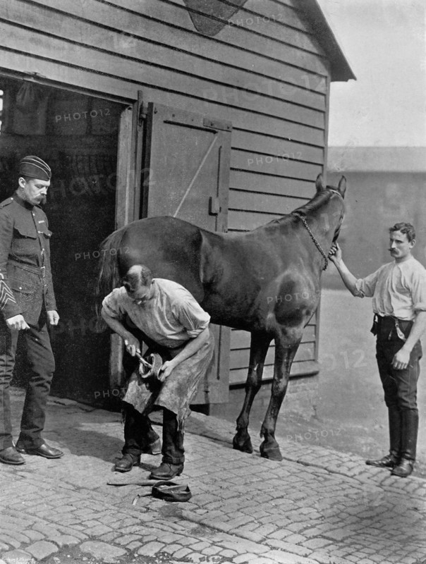 The Farrier-Major of the Royal Horse Guard, 1896.Artist: Gregory & Co