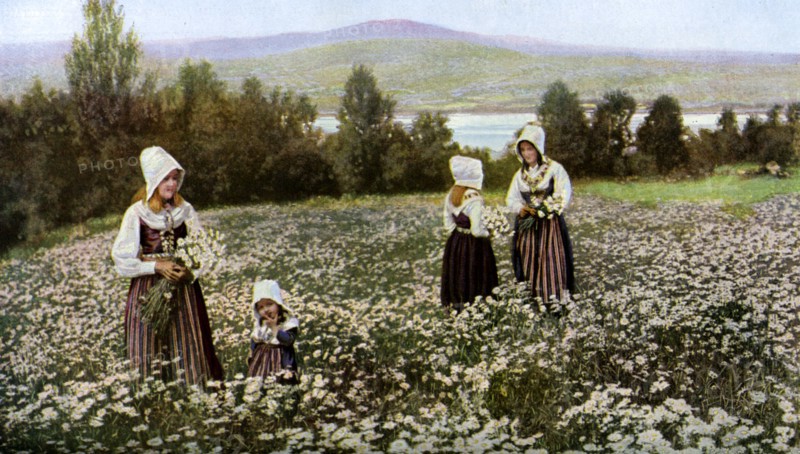 Picking flowers in a meadow near Leksand, Sweden, c1923. Artist: Unknown