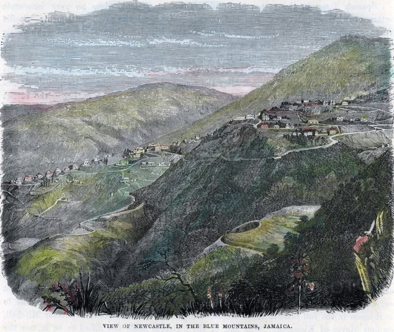 'View of Newcastle, in the Blue Mountains, Jamaica', c1880. Artist: Unknown