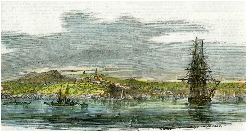 Auckland, New Zealand, c1880. Artist: Unknown