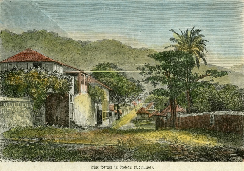 A street in Roseau, Dominica, c1880.Artist: Pann