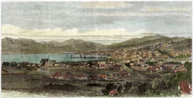 The town and port of Wellington, capital of New Zealand, c1880. Artist: Unknown