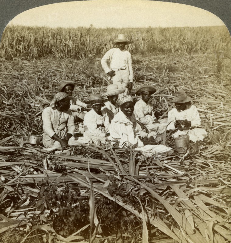 On 'La Union' sugar plantation, San Luis, Santiago Province, Cuba, 1899.  Artist: Underwood & Underwood