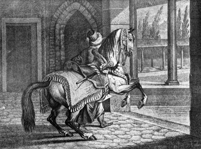Turkish Sultan's Arabian saddle horse, 1722, (1938). Artist: Unknown