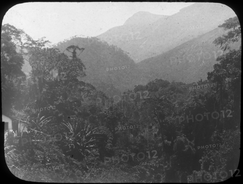 Near Petrópolis, Rio de Janeiro, Brazil, late 19th or early 20th century. Artist: Unknown