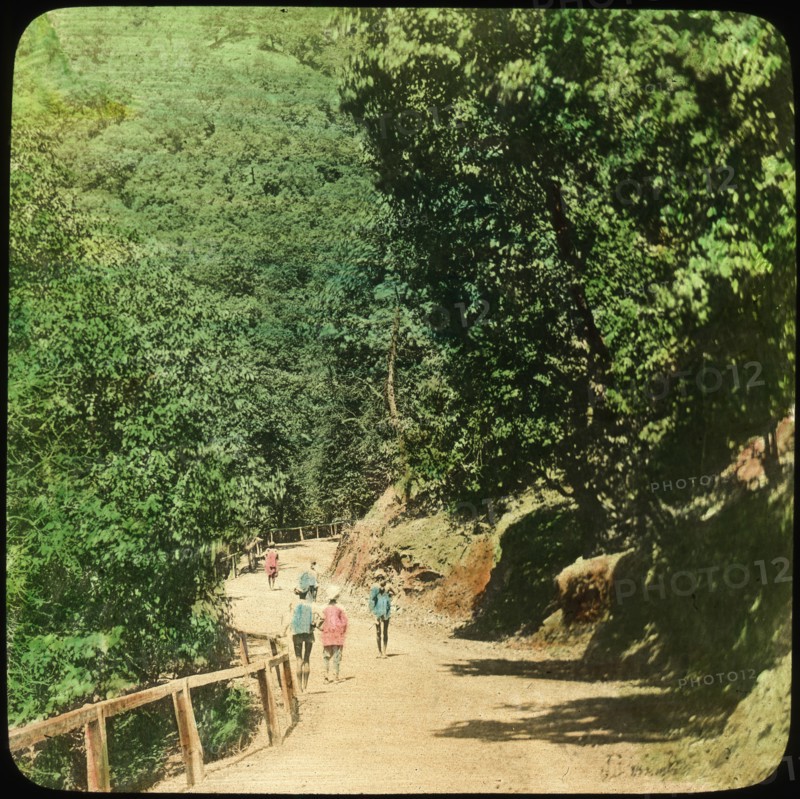 The Mall Road, Simla, India, late 19th or early 20th century. Artist: Unknown