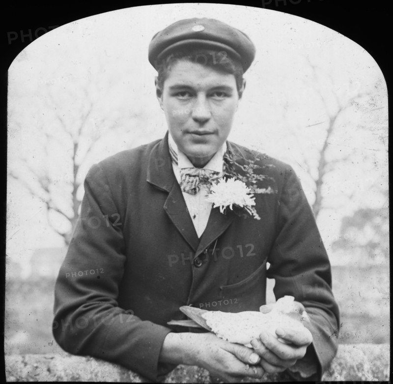 E Hack holding a pigeon, late 19th or early 20th century. Artist: Unknown