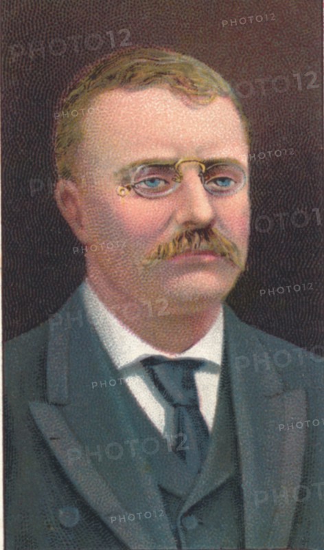 Theodore Roosevelt (1858-1919), 26th President of the United States, 1906. Artist: Unknown