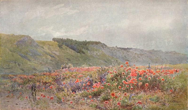 The Valley of Poppies, c1879-1903, (1903). Artist: Howard Gull Stormont