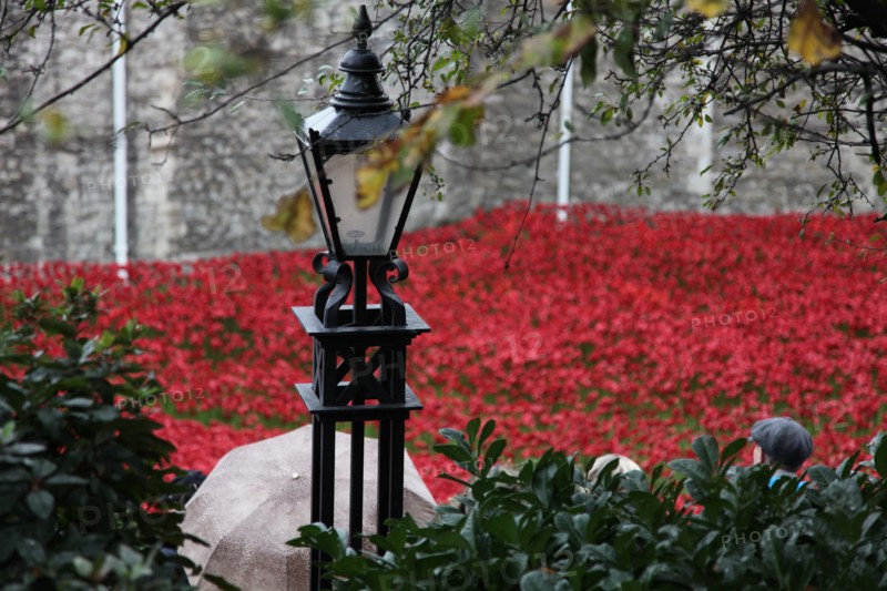 'Blood Swept Lands and Seas of Red', Tower of London, 2014.  Artist: Sheldon Marshall