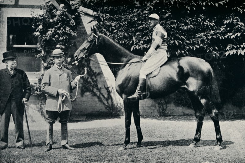Thoroughbred racehorse, Ladas, 1894. Artist: Unknown