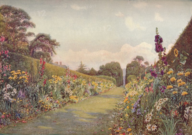 The Long Border, Holme Lacy, (1903). Artist: Ernest Arthur Rowe