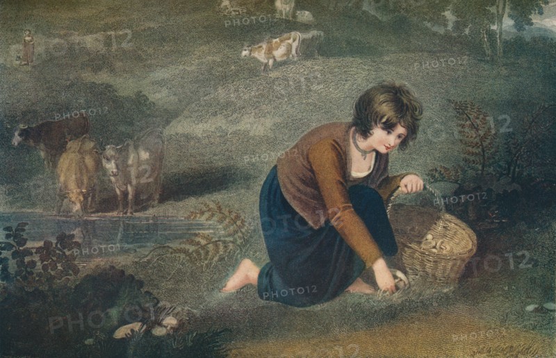 A Girl Gathering Mushrooms, 1800, (1917). Artist: Robert Mitchell Meadows