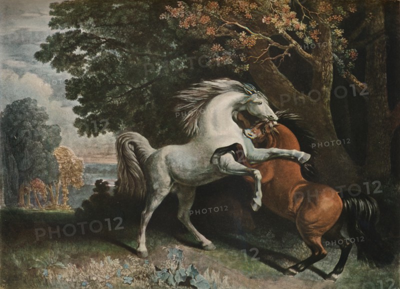Horses Fighting, c18th century, (1902). Artist: George Townley Stubbs