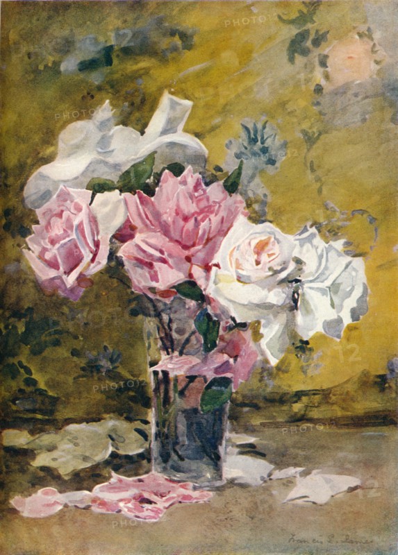 'Roses and Brocade', c19th century. Artist: Francis Edward James.