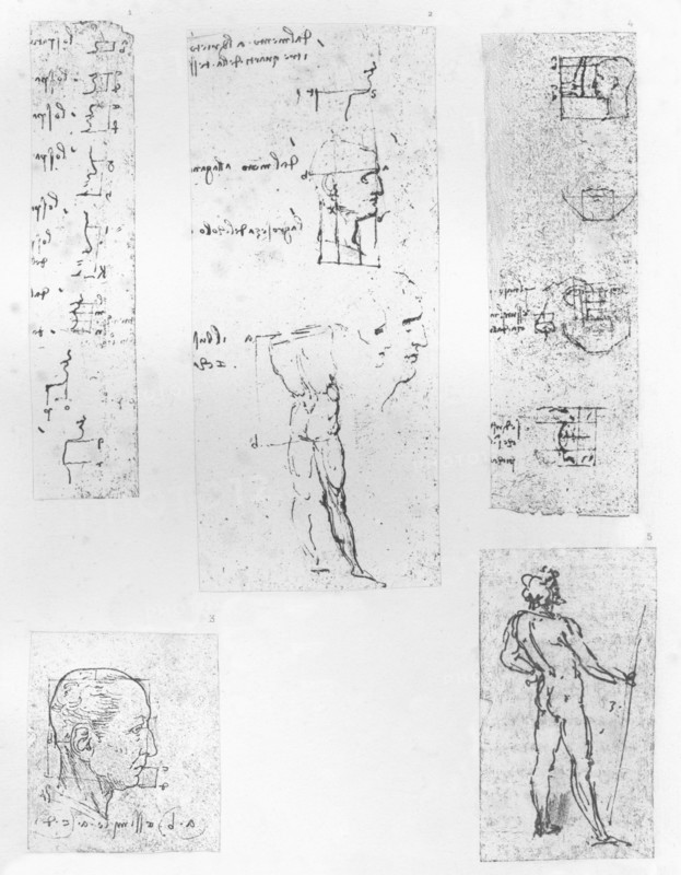 Five drawings illustrating the theory of the proportions of the human figure, c1472-c1519 (1883). Artist: Leonardo da Vinci.