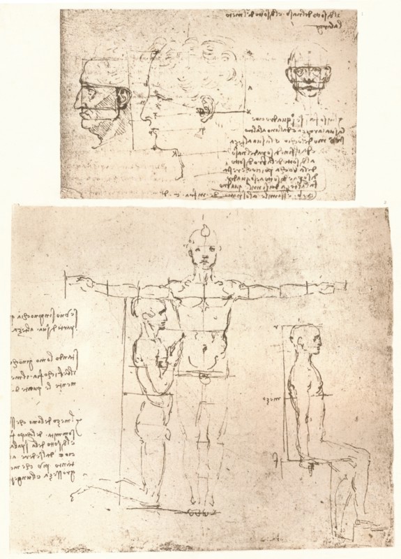 Two drawings illustrating the theory of the proportions of the human figure, c1472-c1519 (1883).  Artist: Leonardo da Vinci.