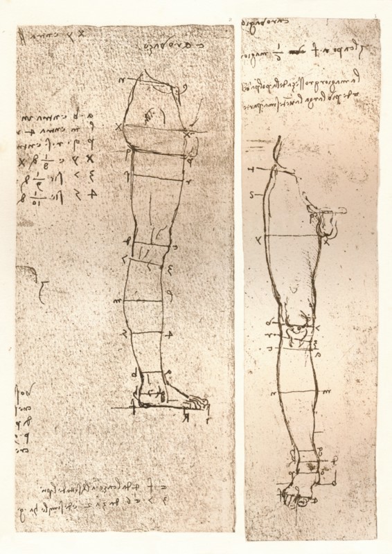 Two drawings illustrating the theory of the proportions of the human figure, c1472-c1519 (1883). Artist: Leonardo da Vinci.