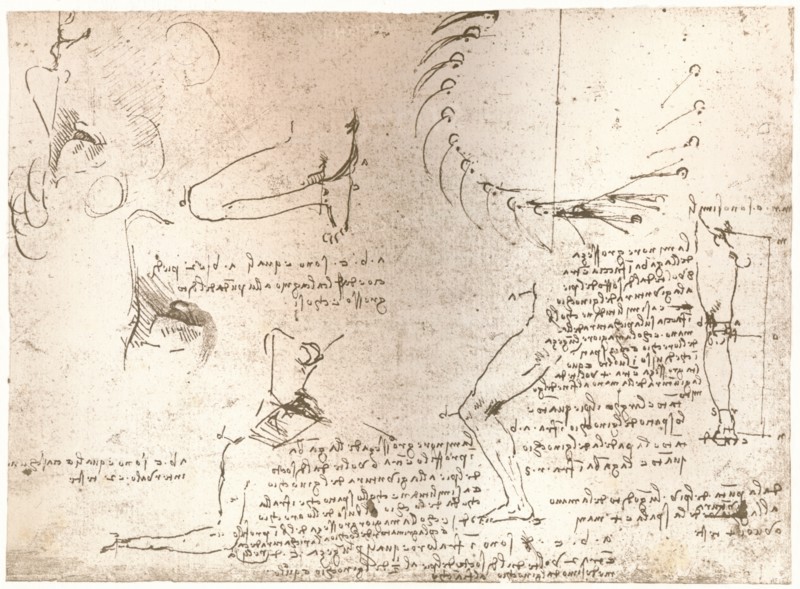 Sketches illustrating the theory of the proportions of the human figure, c1472-c1519 (1883). Artist: Leonardo da Vinci.